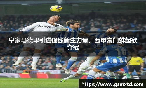 皇家马德里引进锋线新生力量，西甲豪门雄起欲夺冠