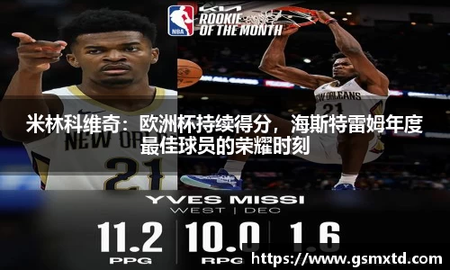 米林科维奇：欧洲杯持续得分，海斯特雷姆年度最佳球员的荣耀时刻