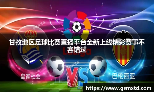 雷竞技raybet