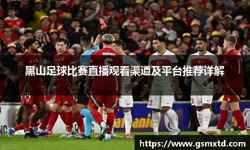 黑山足球比赛直播观看渠道及平台推荐详解