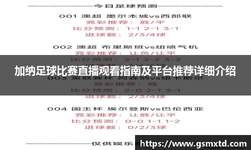 加纳足球比赛直播观看指南及平台推荐详细介绍