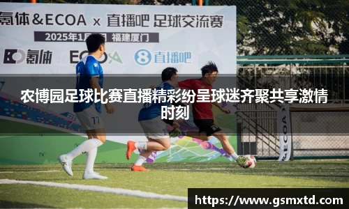 农博园足球比赛直播精彩纷呈球迷齐聚共享激情时刻