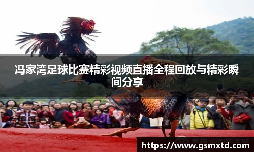 RAYBET雷竞技