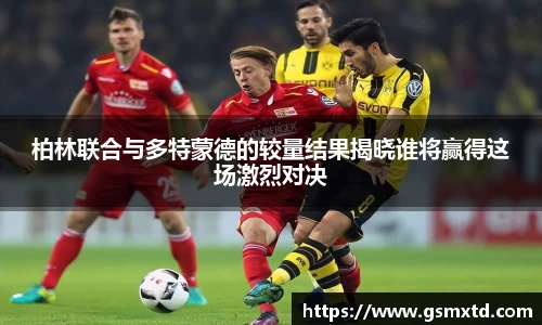 雷竞技raybet官网